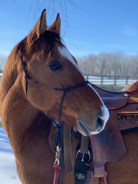 This image has an empty alt attribute; its file name is dasher-1.jpg